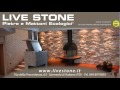 livestone_5.flv