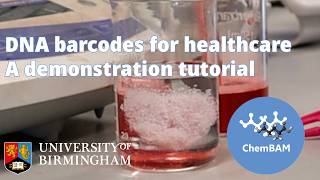 DNA Barcodes for healthcare - A DNA extraction tutorial
