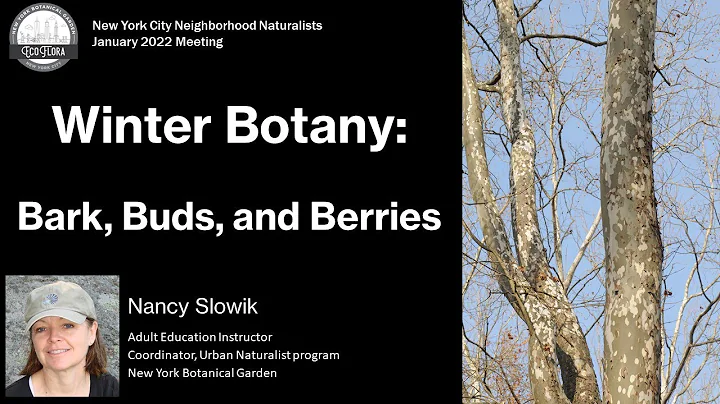 Winter Botany - Nancy Slowik - NYC EcoFlora