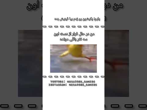 آقا وقتی یکیشون رو می زنید دیگه داد و فریاد نکنید     فان طنز