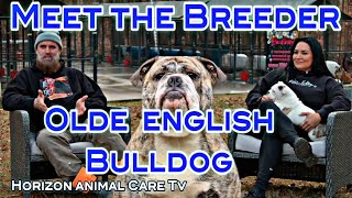 The Olde English Bulldog - Meet the Breeder: iBULLDOGS