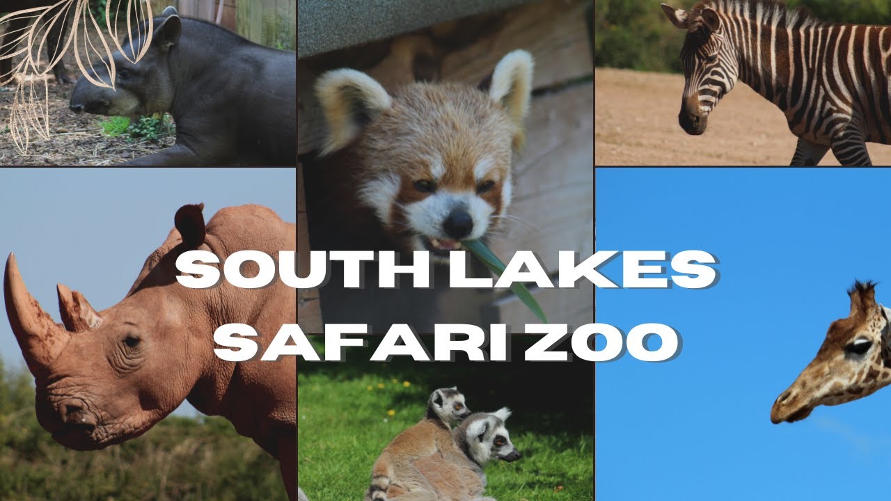 south lakes safari zoo map 2021