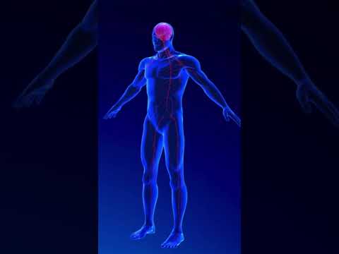 Anxiety And Nausea