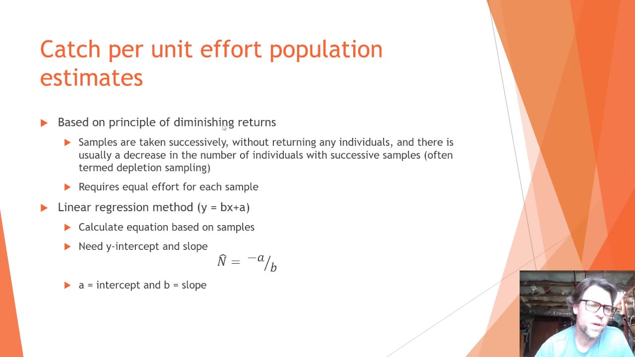 Population Estimation