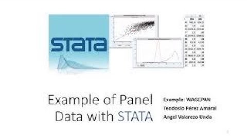 Panel data with Stata. Wagepan example