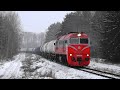 LTG CARGO Diesel locomotive M62K-1091 / Тепловоз М62к-1091