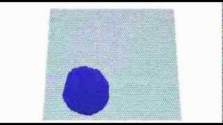 Diffusion of Ni nanoparticle on graphene - MD simulation using CUDA code.