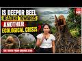 Deepor Beel at Crossroads: Ecological crisis looms amid tree cutting and rapid development