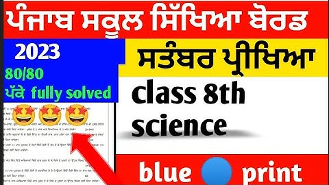 PSEB 8th class September paper 2023 science blueprint