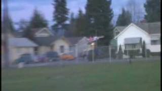 Wild Hawk 4ch
