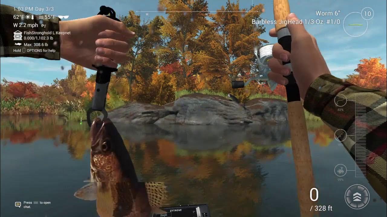 unique sauger Emerald Lake Fishing YouTube