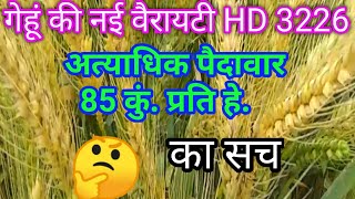 गेहूं की नई वैरायटी HD 3226, WHEAT VARIETY.