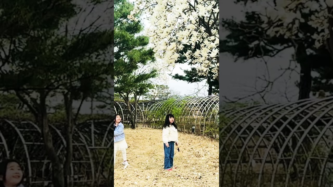 “Little explorers on a flower hunt! 🌸✨”