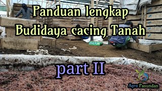 Panduan lengkap budidaya cacing Tanah (part II)