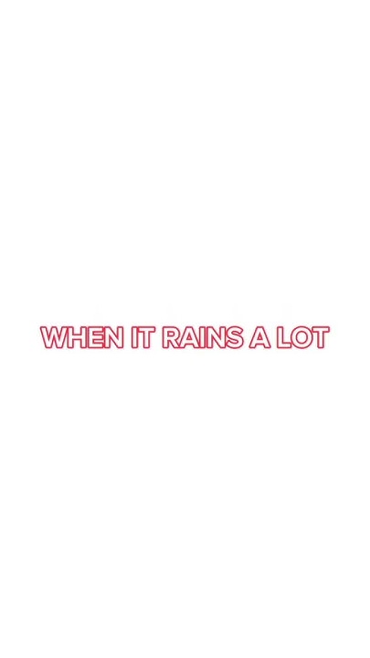 How Do You Say It s Raining Cats And Dogs In Spanish shorts how-do-you-say-it-s-raining-cats-and-dogs-in-spanish-shorts