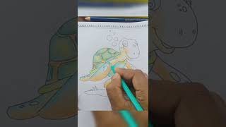 turtle 🐢 fun colouring #animal #turtle