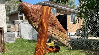 Mounting the Hawk on its base