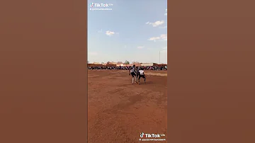 Bahati Bugalama Show Kali Tabora 