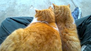 WP 20150307 10 34 04 Pro