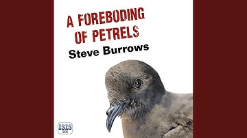 Chapter 16.8 & Chapter 17.1 - A Foreboding of Petrels
