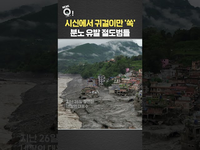 시신에서 귀걸이만 '쏙'…분노 유발 절도범들 / 연합뉴스TV(YonhapnewsTV)