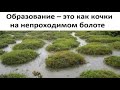 Образование – это как кочки на непроходимом болоте