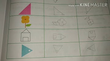 Class 5 Mathematics, Chapter 12 Symmetry and Patterns, Topic Exercise ( 12-c) Q1 Draw the shapes