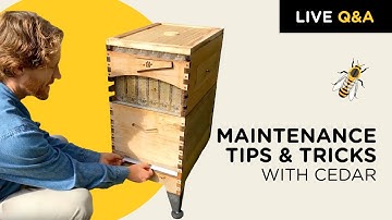 Maintenance Tips & Tricks with Cedar