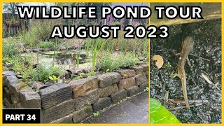 Building a Pond in my Backyard - Here’s How we built our pond in our very own backyard #ponds #frog