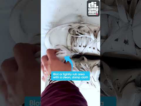 Can You Use Scotchgard Fabric Protector On Carpet