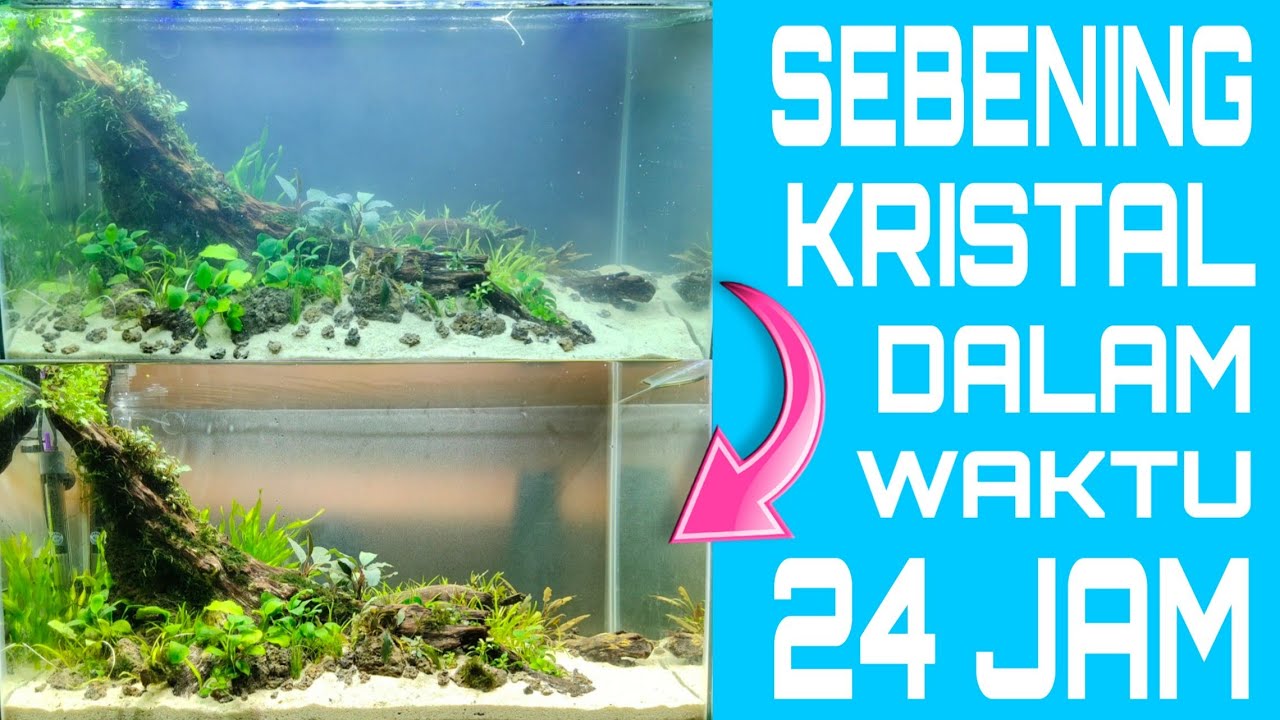 Cara Memasang Filter Aquascape GTK Guru