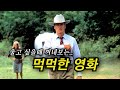 너무 안타까운 마지막 장면을 가진 작품 결말포함 너무 안타까운 마지막 장면을 가진 작품 결말포함