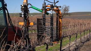 VPS Equipment Services Pre Pruning (Double Pruning) in a Paso Robles Vineyard. Central Coast, CA