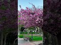 كم أغار عليها