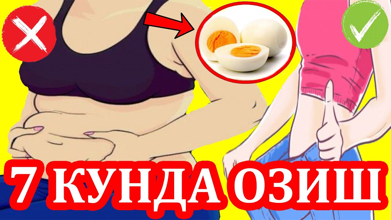⁣OZISH,ТУХУМ ПАРХЕЗИ, EGG DIET, ЯИЧНАЯ ДИЕТА