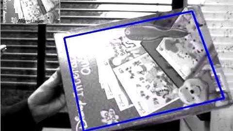 Visual tracking robust to arbitrary illumination changes