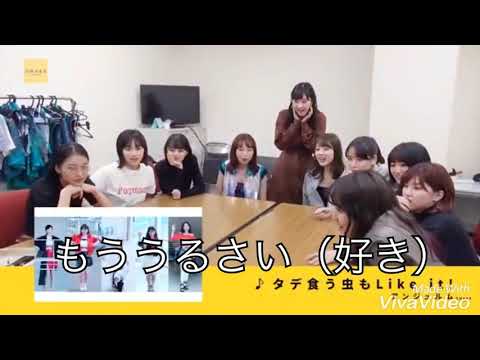 アンジュルム タデ食う虫もLike it！ MV鑑賞文字起こし(1.5倍速)