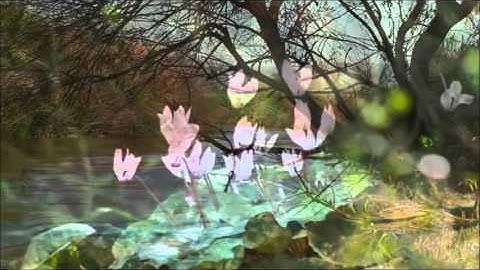 Dua imam al Sajjad (AS)دعاء للإمام السجاد عليه السلام بصوت القارئ الحاج غسان الزين