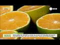 Redução da oferta de laranja pode reduzir estoques de suco