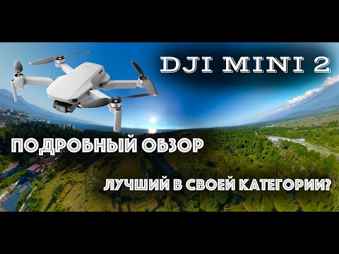 DJI MINI 2: Подробный обзор самого компактного дрона с 4K камерой