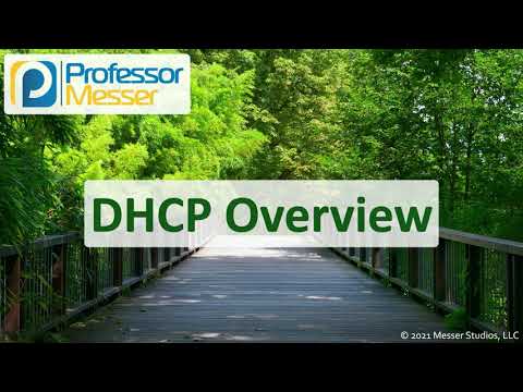 DHCP Overview - N10-008 CompTIA Network+ : 1.6