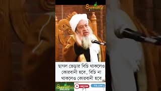 বিচি থাকলেও হবে বিচি না থাকলেও হবে, কোরবানী sunnah কোরবানী ঈদ ছাগল ভেড়া দুম্বা