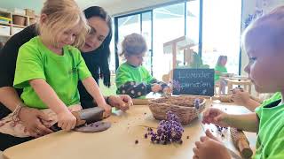 Centre Director | Edge Early Learning