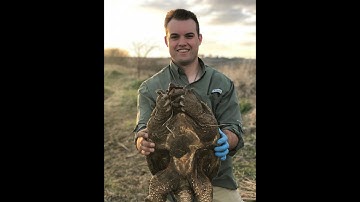 How To Clean A Snapping Turtle