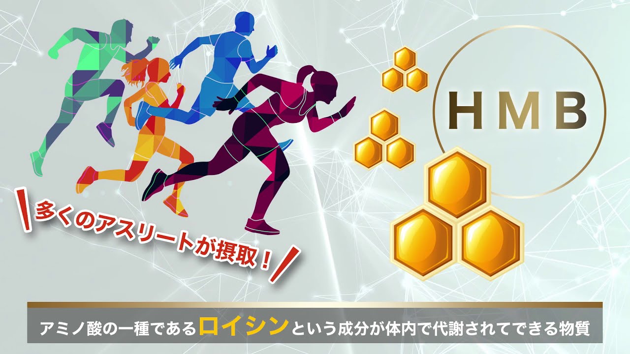 Fira マッスルサプリメント Hmb Youtube Fira マッスルサプリメント Hmb Youtube