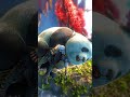 pubg mobile gaming app 👌
