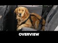 WeatherTech Pet Safety Harness: One Minute Overview