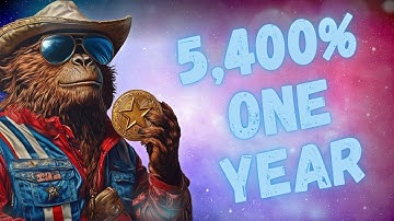 How to Mine TEXIT Coin!  Green Flags and Red Flags Breakdown!