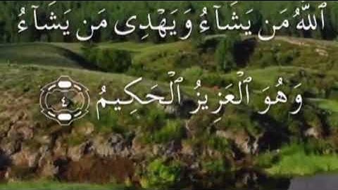 صفحة ٢٥٥ من القران (اواخر سورة الرعد واوائل سورة ابراهيم ) بصوت سعد الغامدي