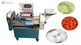 MNS-802 Multi function Vegetable Cutter